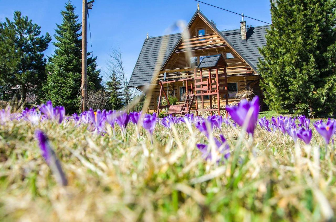 Koisowka Bed & Breakfast Zakopane
