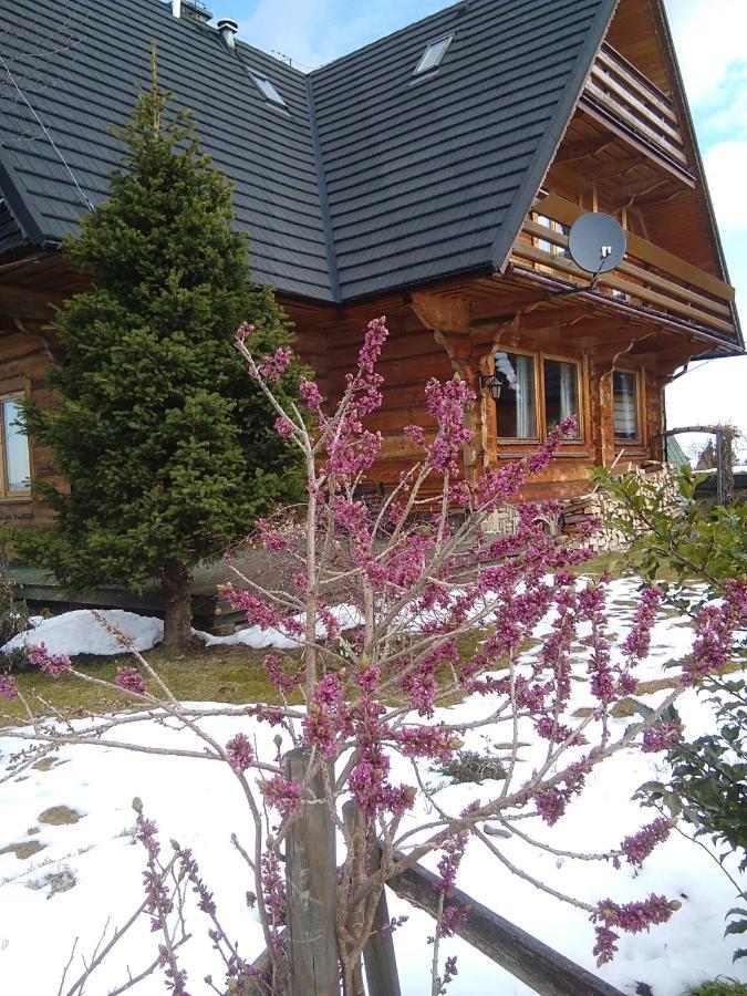 Koisowka Bed & Breakfast *